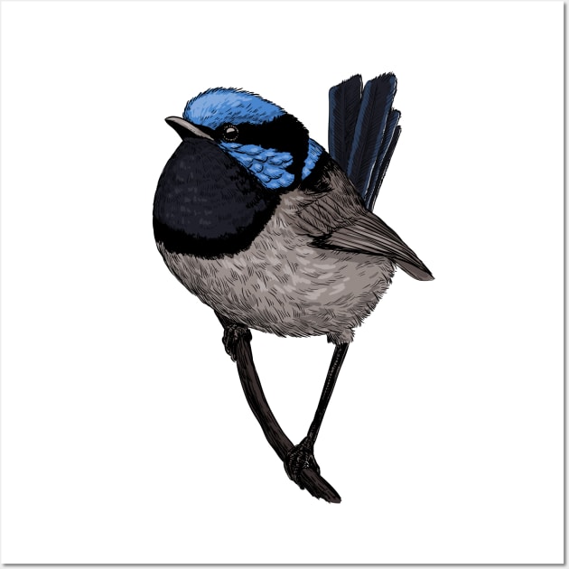 Fairy wren drawing 3 Wall Art by katerinamk